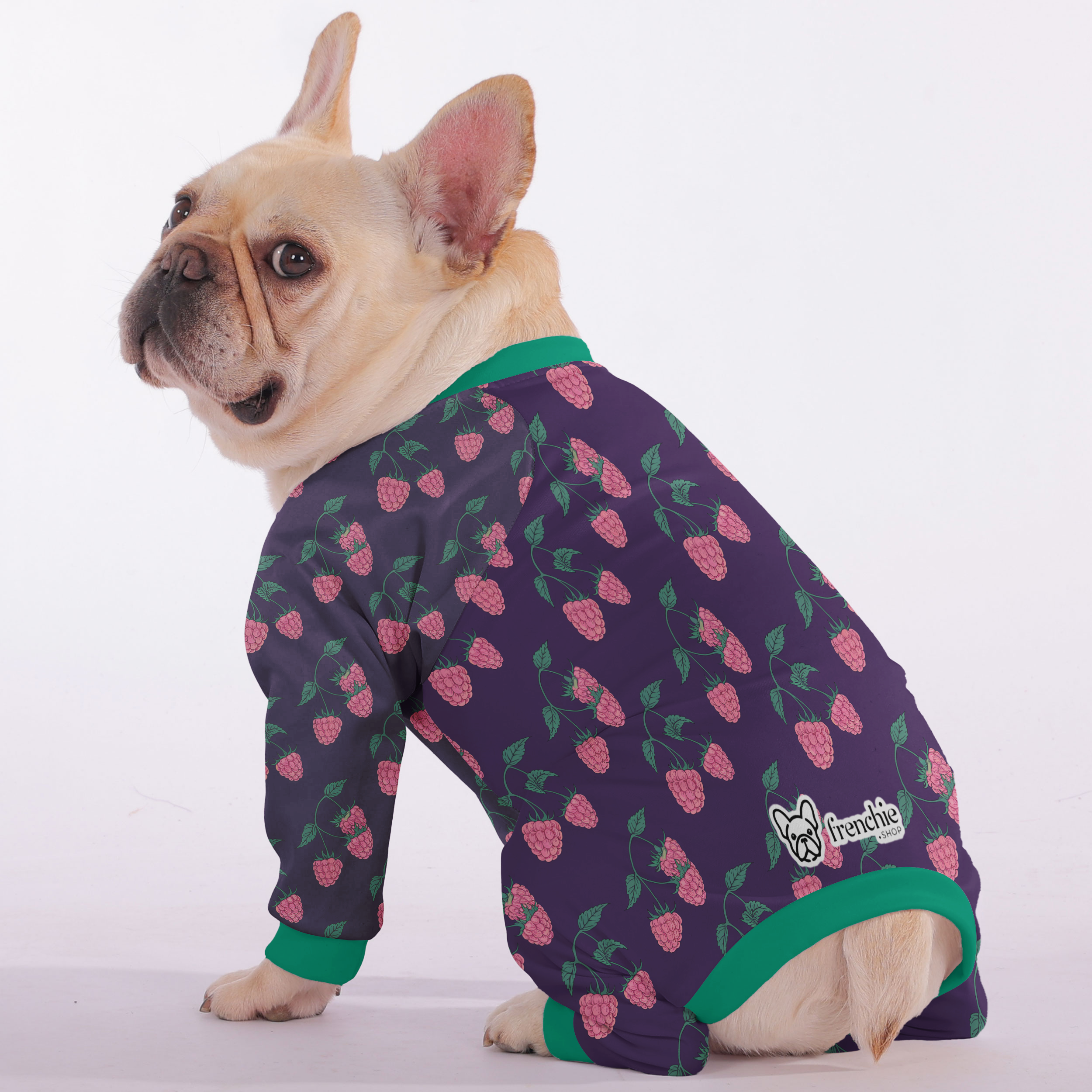 Frenchie Ultra-Soft Pet Sleepwear for Outdoor Adventures-fadou