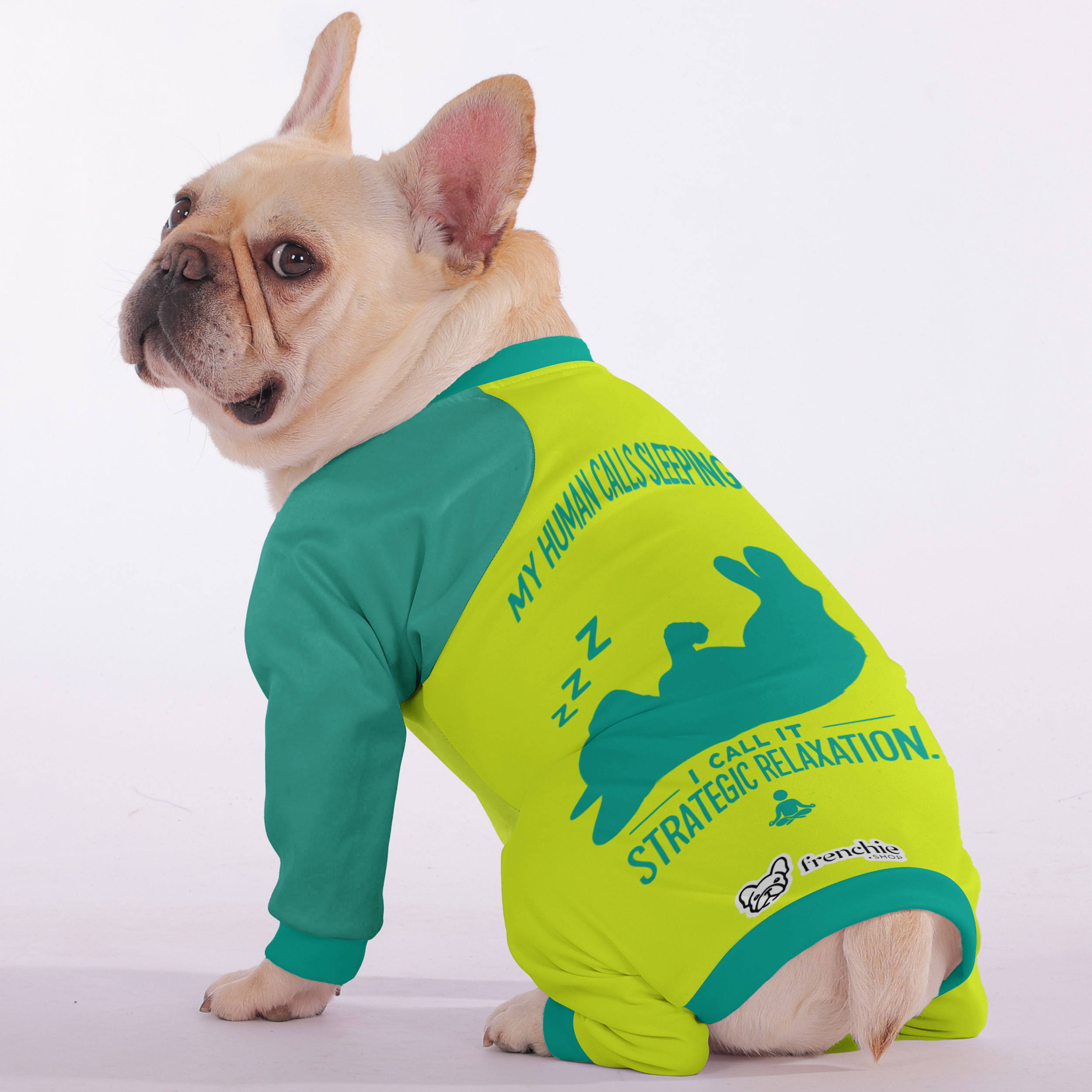 French Bulldog Stylish Night Outfit for French Bulldogs-fadou