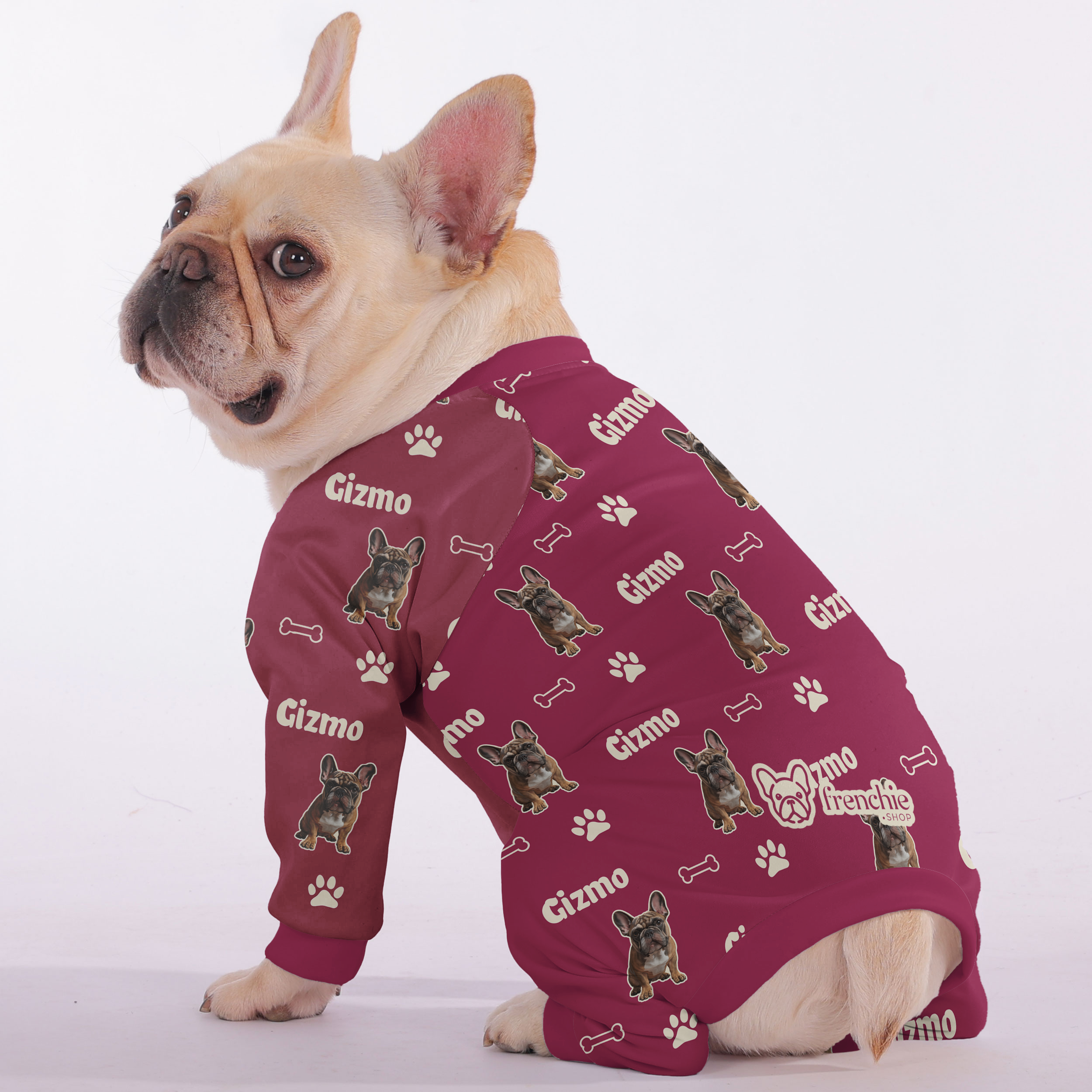 French Bulldog Personalized Night Outfit for Daily Walks-fadou