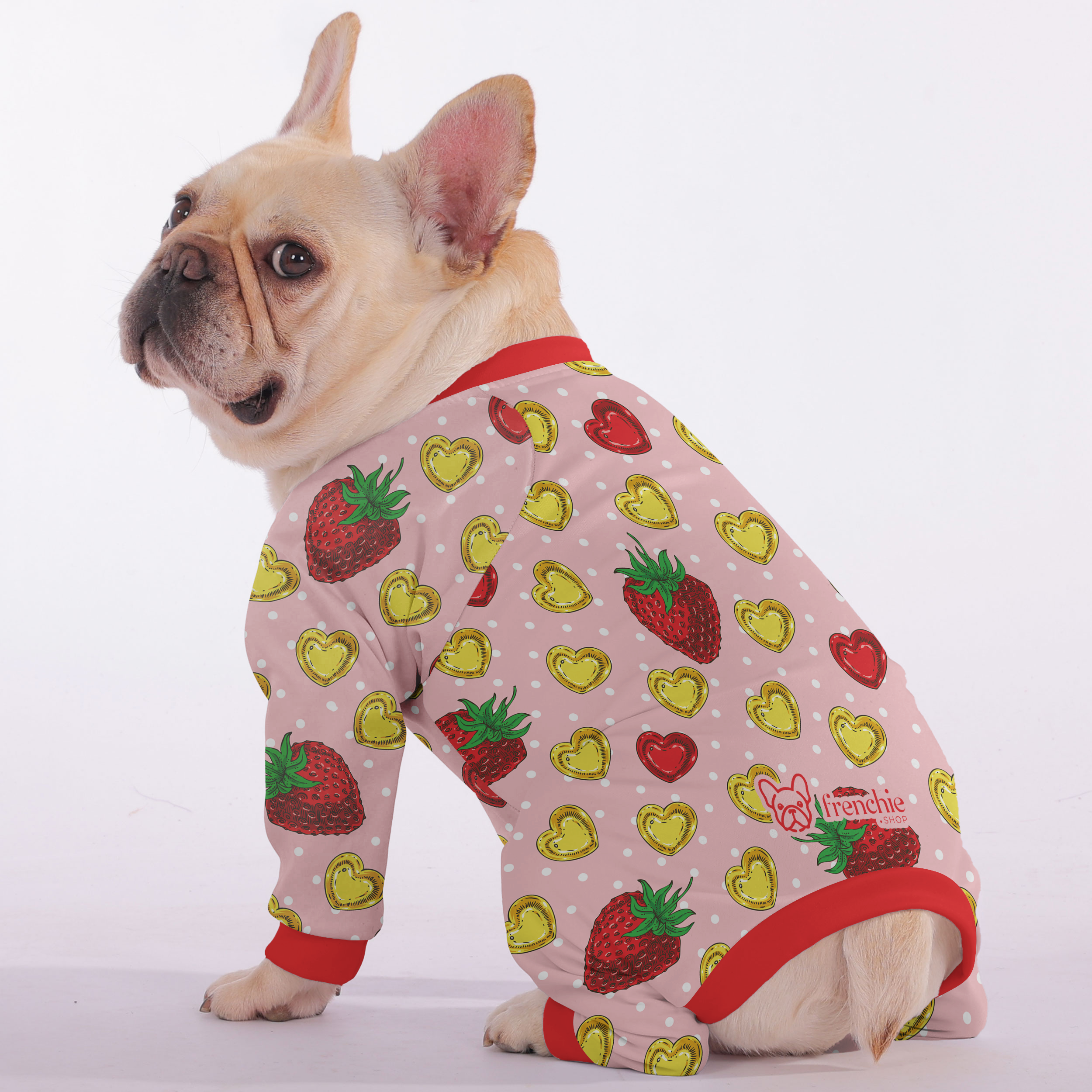 French Bulldog Ultra-Soft Night Outfit for Brachycephalic Dogs-fadou