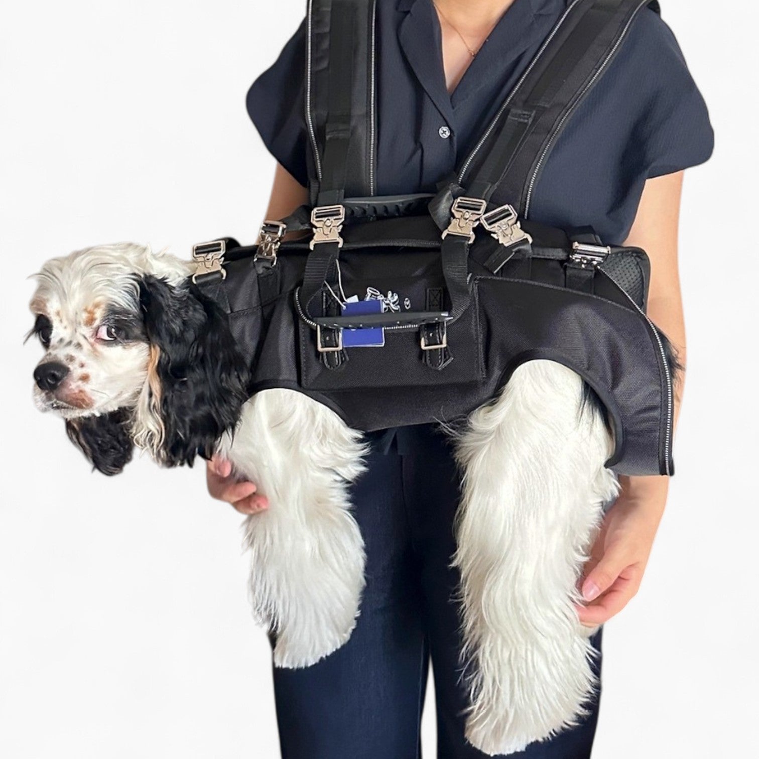CarryPaw™ Side Carry Dog Backpack – Carrier for for French Bulldogs-fadou
