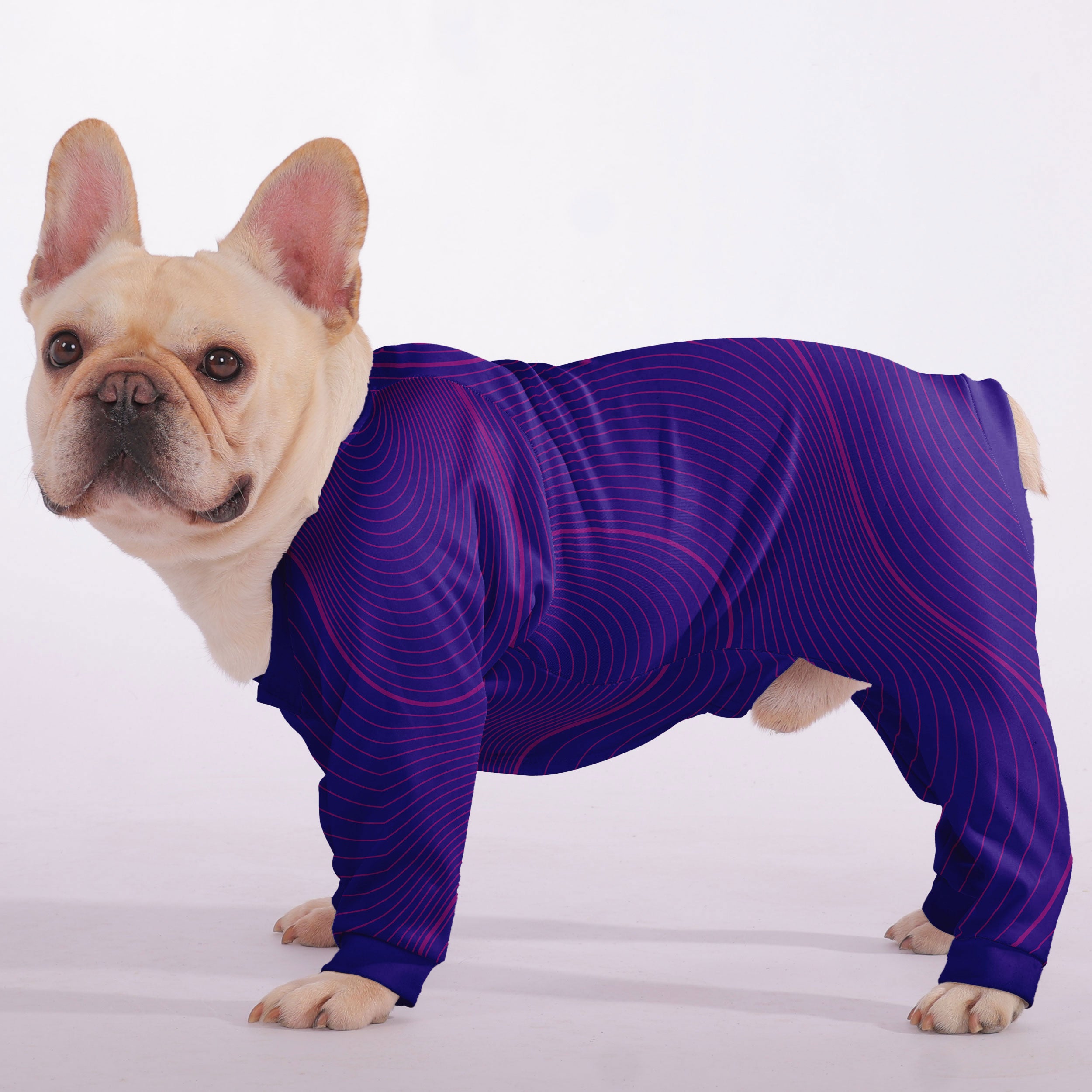 Chester French Bulldog Dog Pajamas for Brachycephalic Dogs-fadou