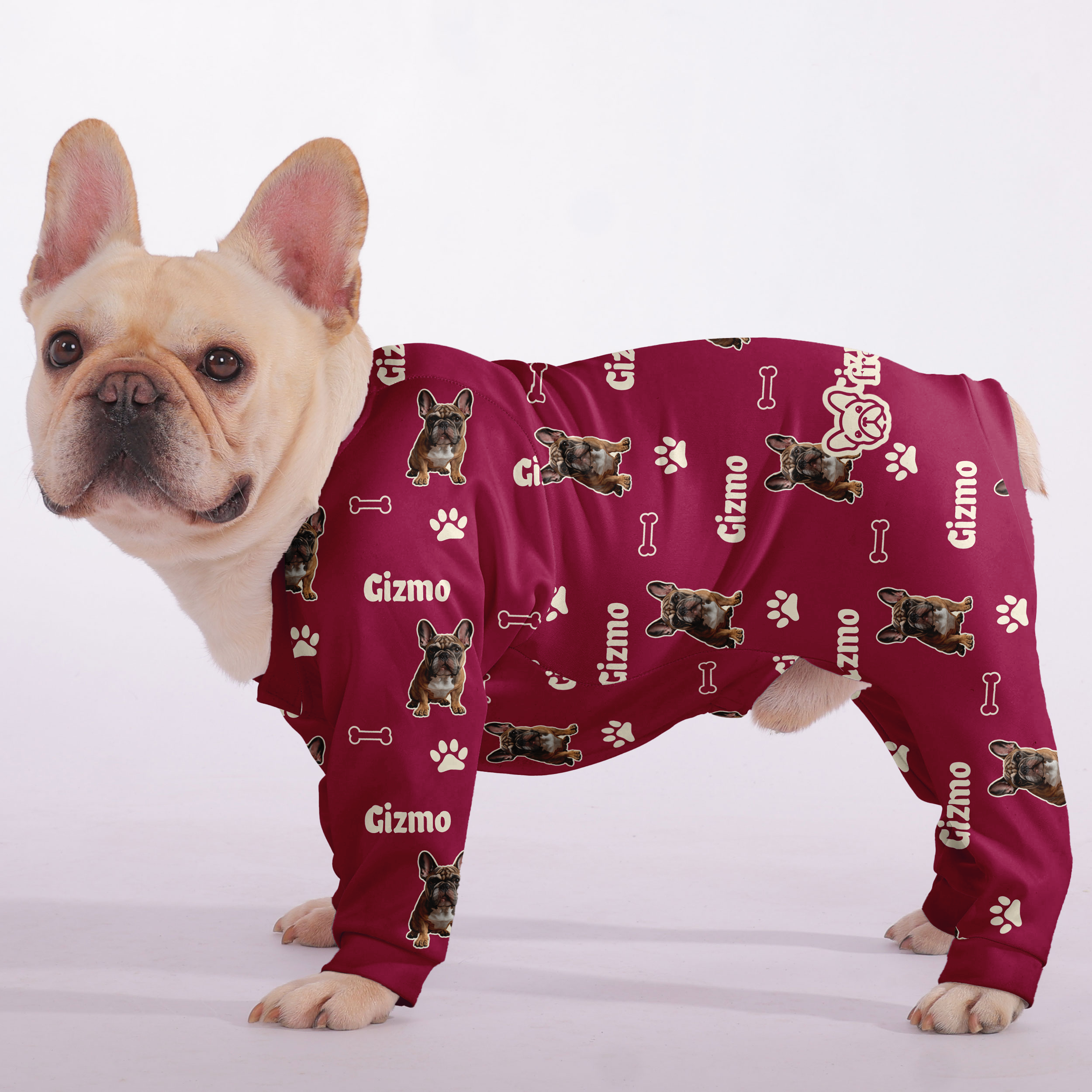 French Bulldog Personalized Night Outfit for Daily Walks-fadou