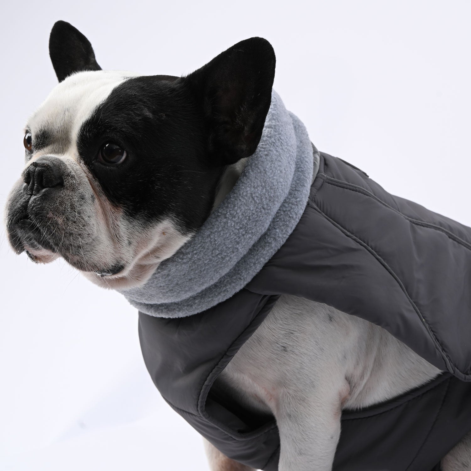 French Bulldog Winter Pet Jacket for Outdoor Adventures-fadou