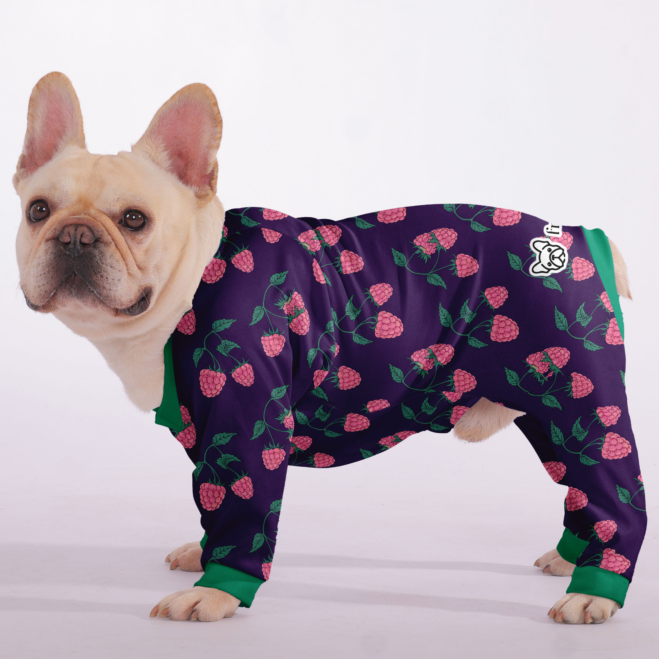 Frenchie Ultra-Soft Pet Sleepwear for Outdoor Adventures-fadou