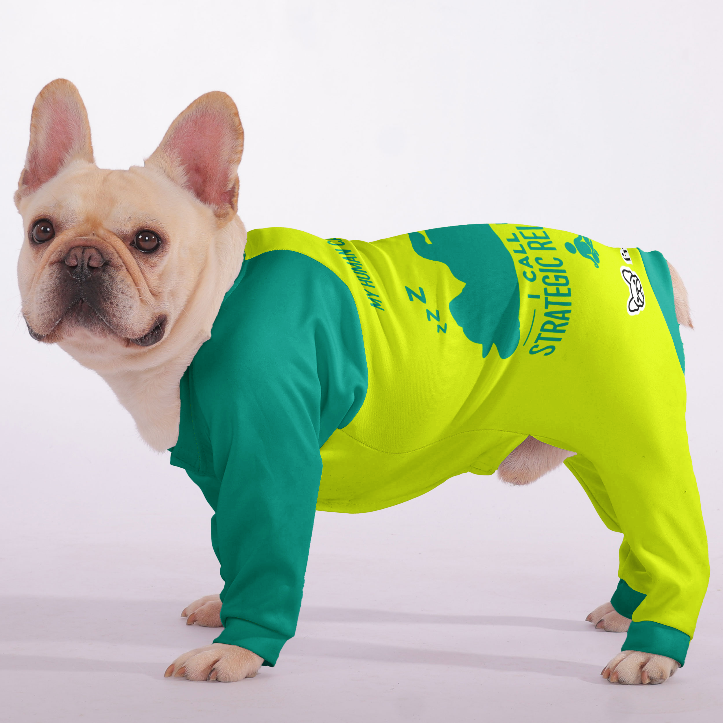 French Bulldog Stylish Night Outfit for French Bulldogs-fadou