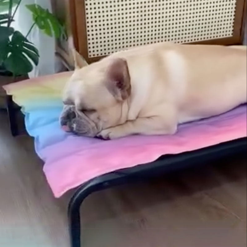 IcePup Frenchie Summer Cooling Mat with Advanced for Dog Lovers and-fadou