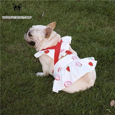 French Bulldog Summer Dog Outfit for Outdoor Adventures-fadou
