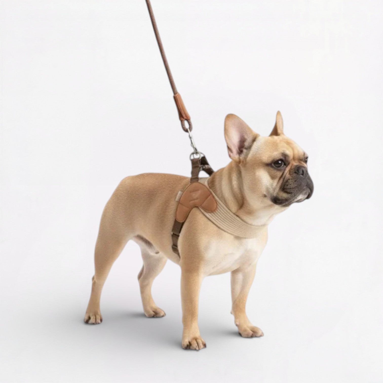 Lightweight No-Pull Chest Harness for Training Sessions-fadou