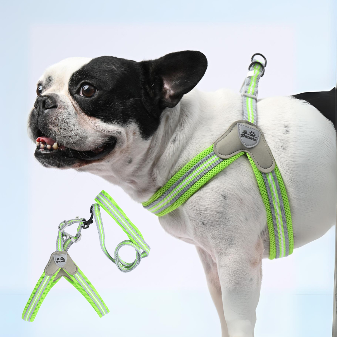 PawGrip French Bulldog No-Pull Vest for Short-Nosed Dogs-fadou