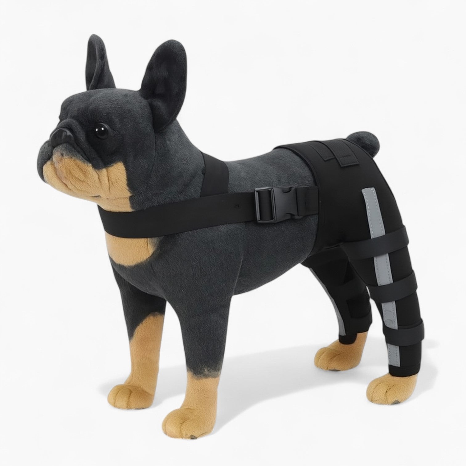 PawGuard Frenchie Knee Leg Braces – Joint Support for Dog Lovers and-fadou
