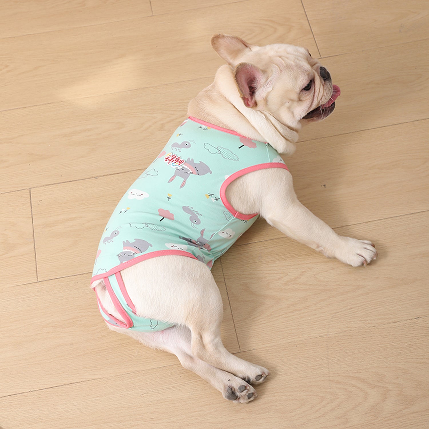 PawJoy French Bulldog Physiological Pants – Cute for Dog Lovers and-fadou