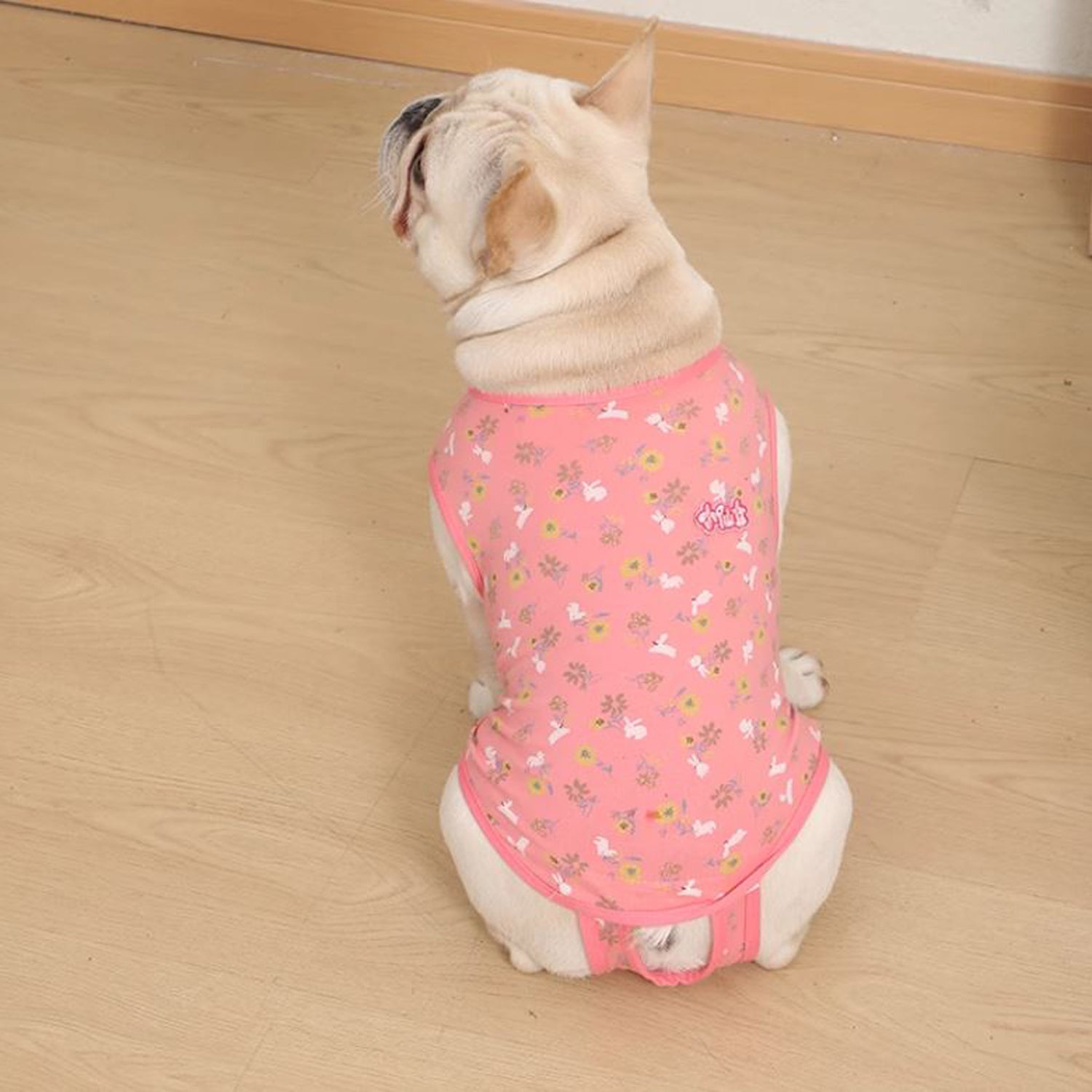 PawJoy French Bulldog Physiological Pants – Cute for Dog Lovers and-fadou