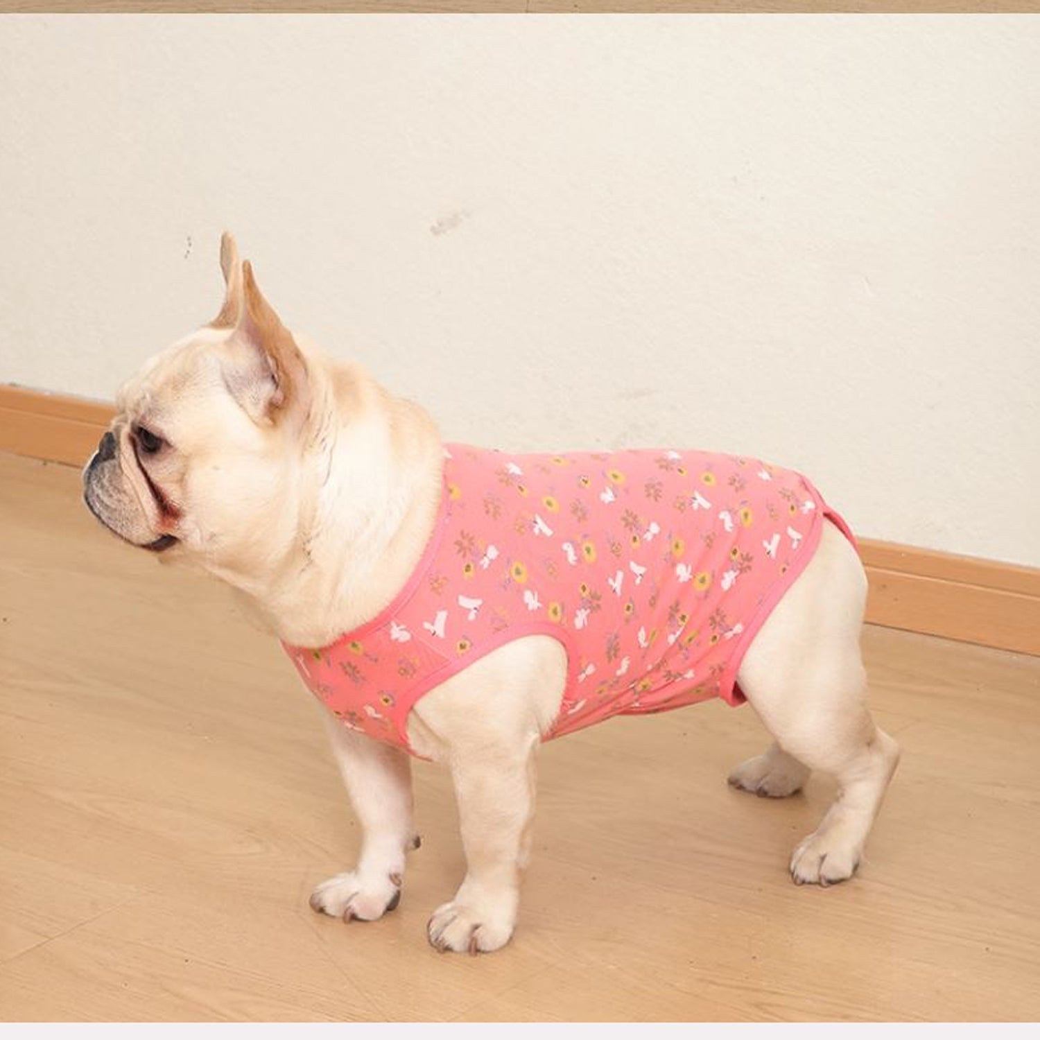 PawJoy French Bulldog Physiological Pants – Cute for Dog Lovers and-fadou