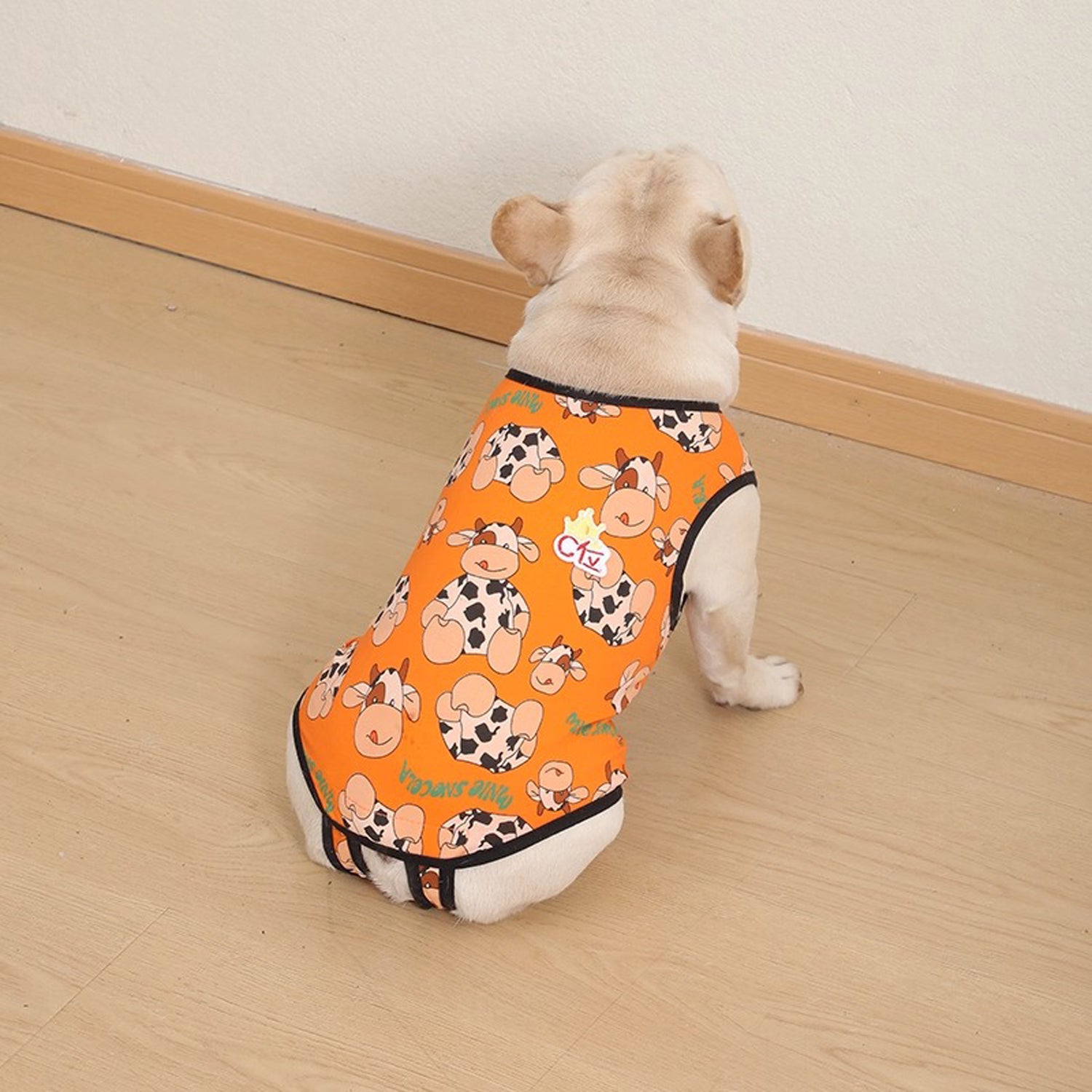PawJoy French Bulldog Physiological Pants – Cute for Dog Lovers and-fadou