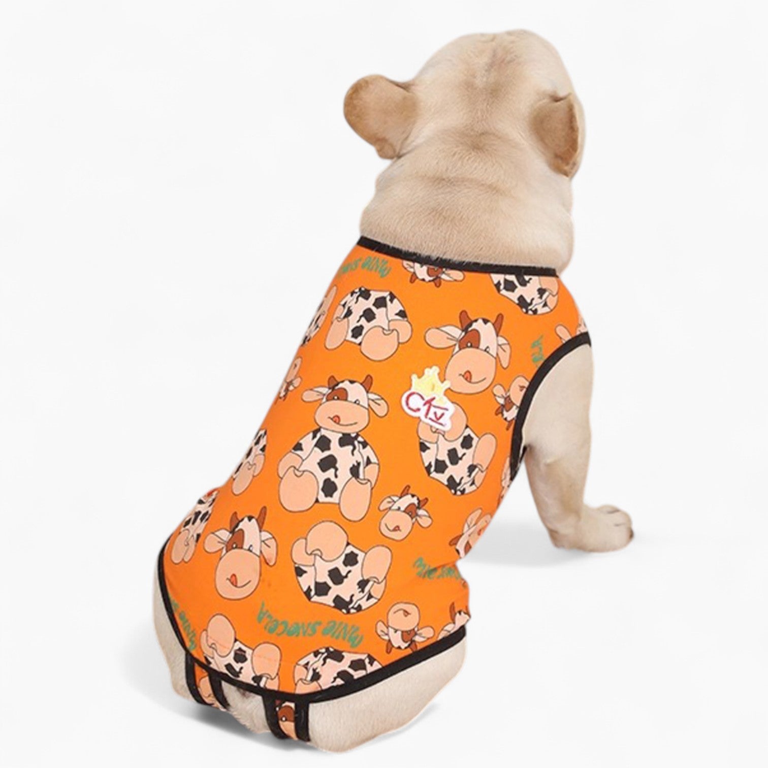 PawJoy French Bulldog Physiological Pants – Cute for Dog Lovers and-fadou