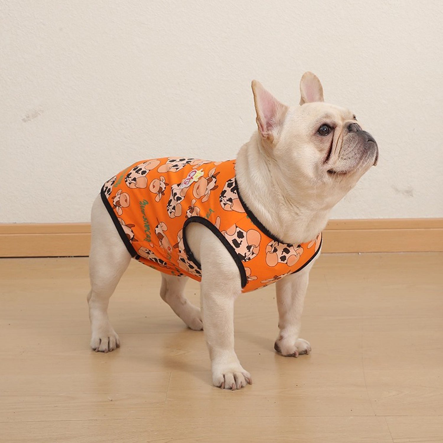 PawJoy French Bulldog Physiological Pants – Cute for Dog Lovers and-fadou
