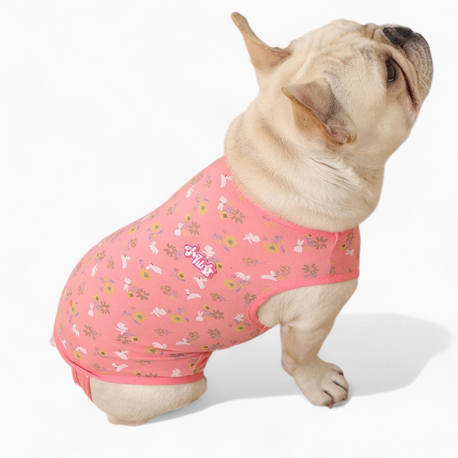 PawJoy French Bulldog Physiological Pants – Cute for Dog Lovers and-fadou