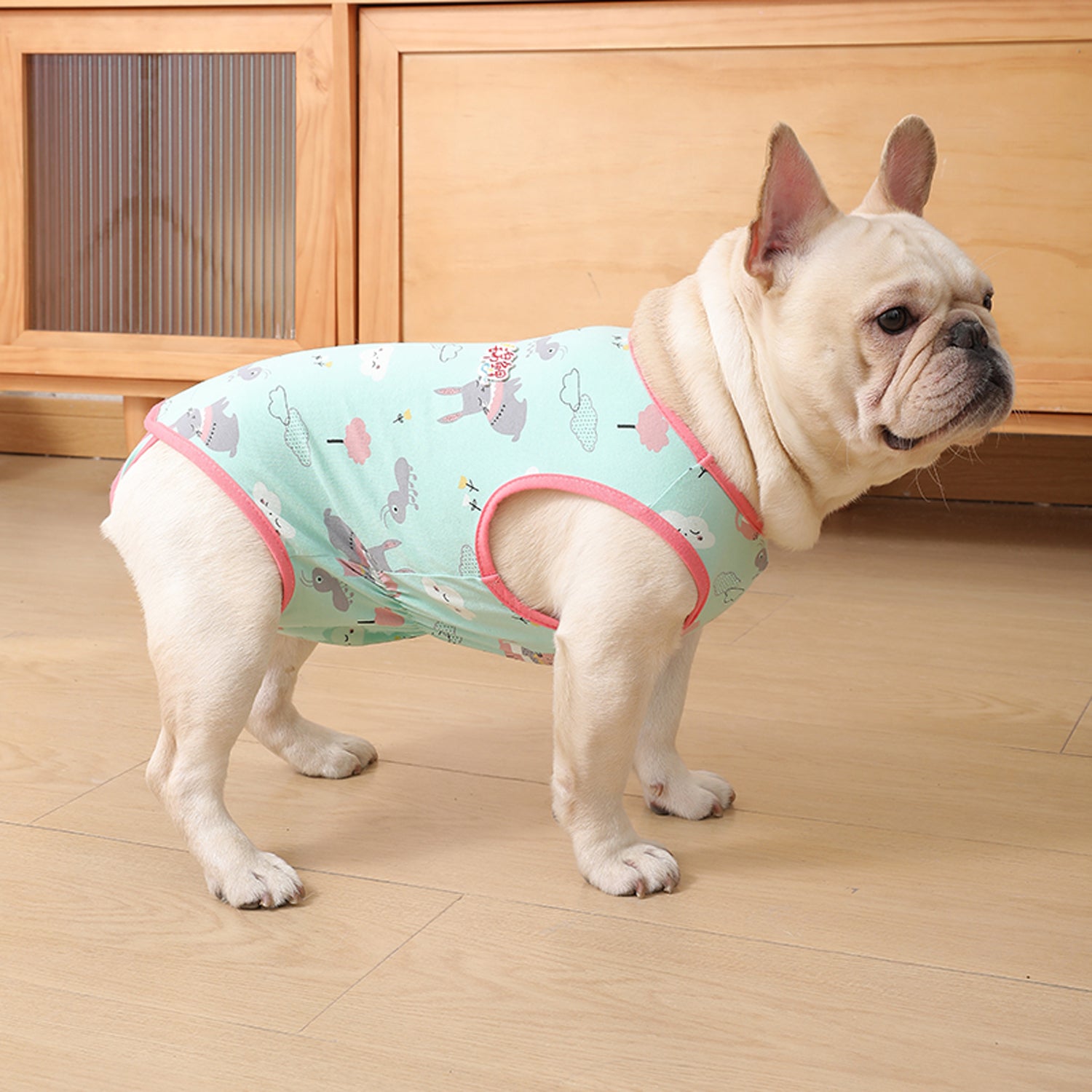 PawJoy French Bulldog Physiological Pants – Cute for Dog Lovers and-fadou