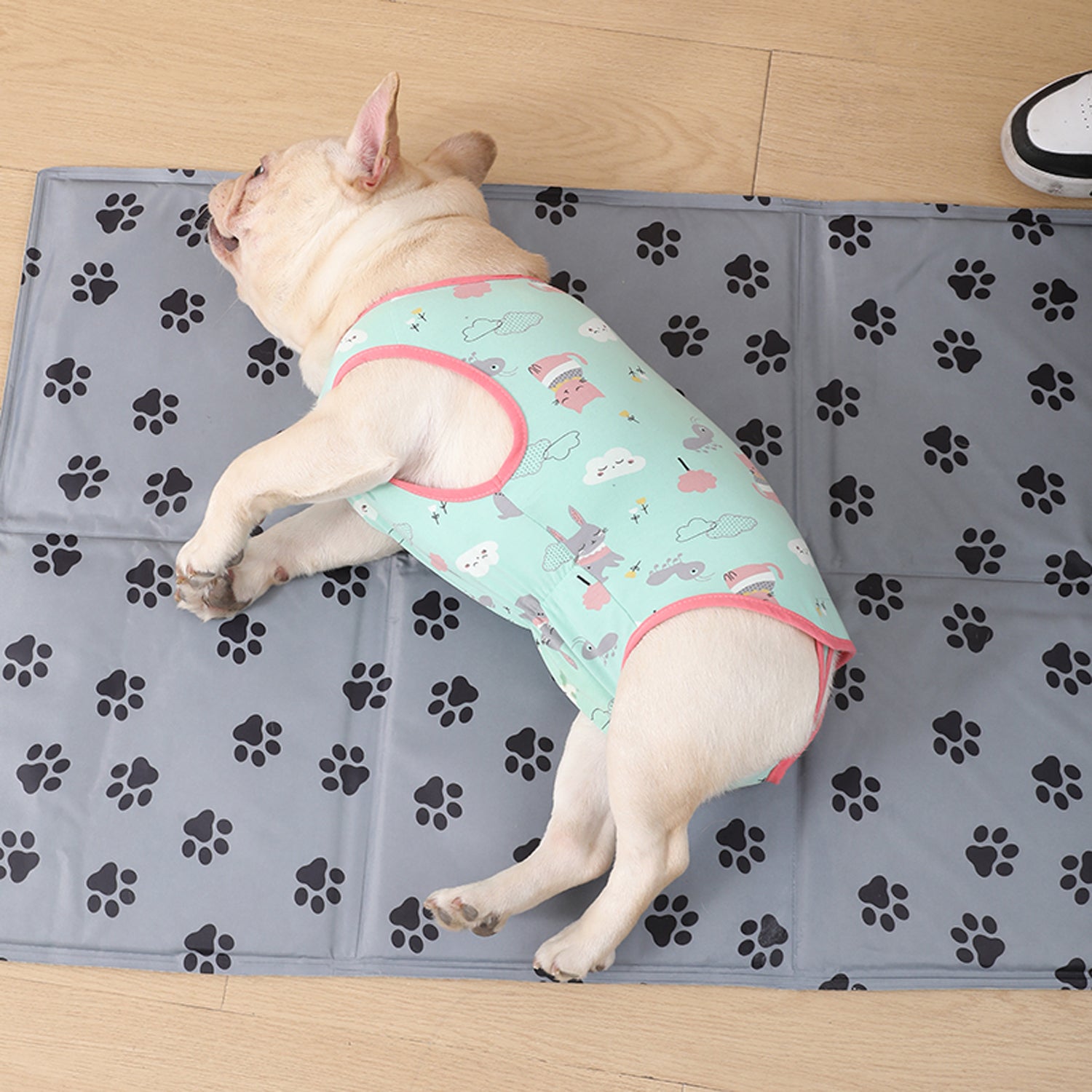PawJoy French Bulldog Physiological Pants – Cute for Dog Lovers and-fadou