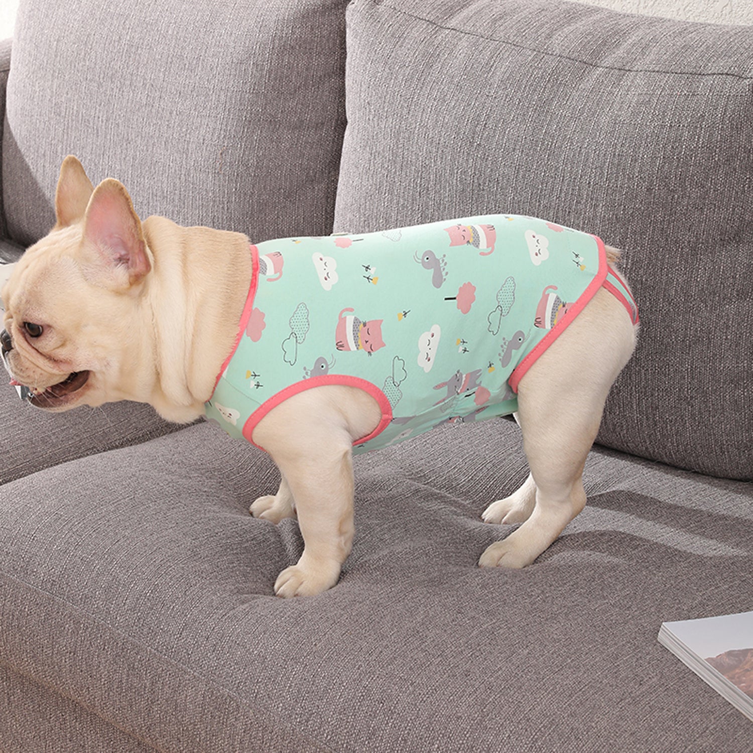 PawJoy French Bulldog Physiological Pants – Cute for Dog Lovers and-fadou