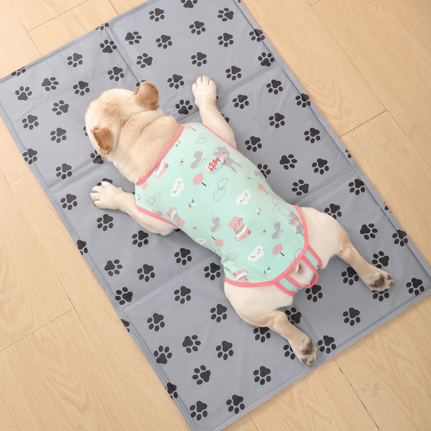 PawJoy French Bulldog Physiological Pants – Cute for Dog Lovers and-fadou