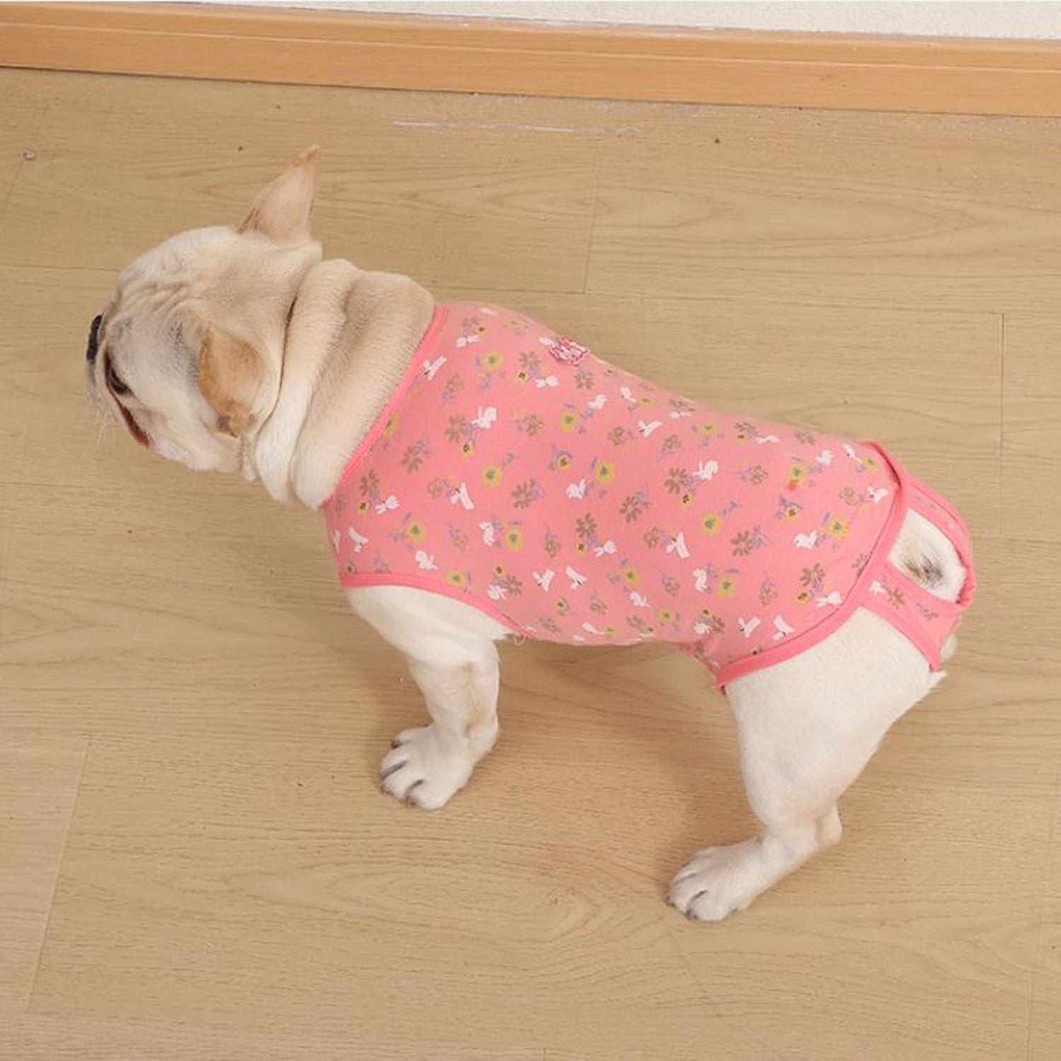 PawJoy French Bulldog Physiological Pants – Cute for Dog Lovers and-fadou
