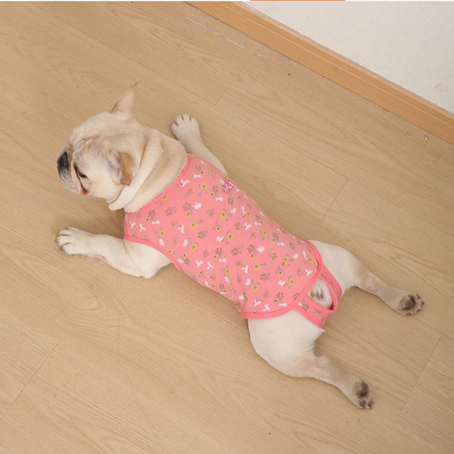 PawJoy French Bulldog Physiological Pants – Cute for Dog Lovers and-fadou