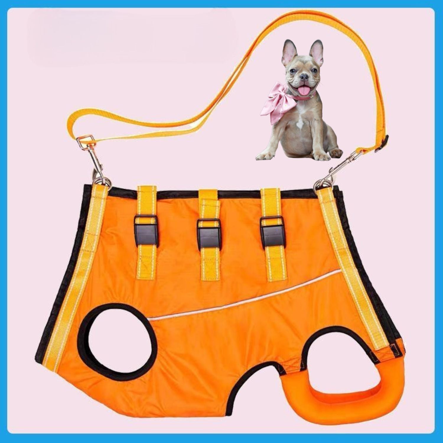 PawLift Frenchie Walking Harness for Brachycephalic Dogs-fadou