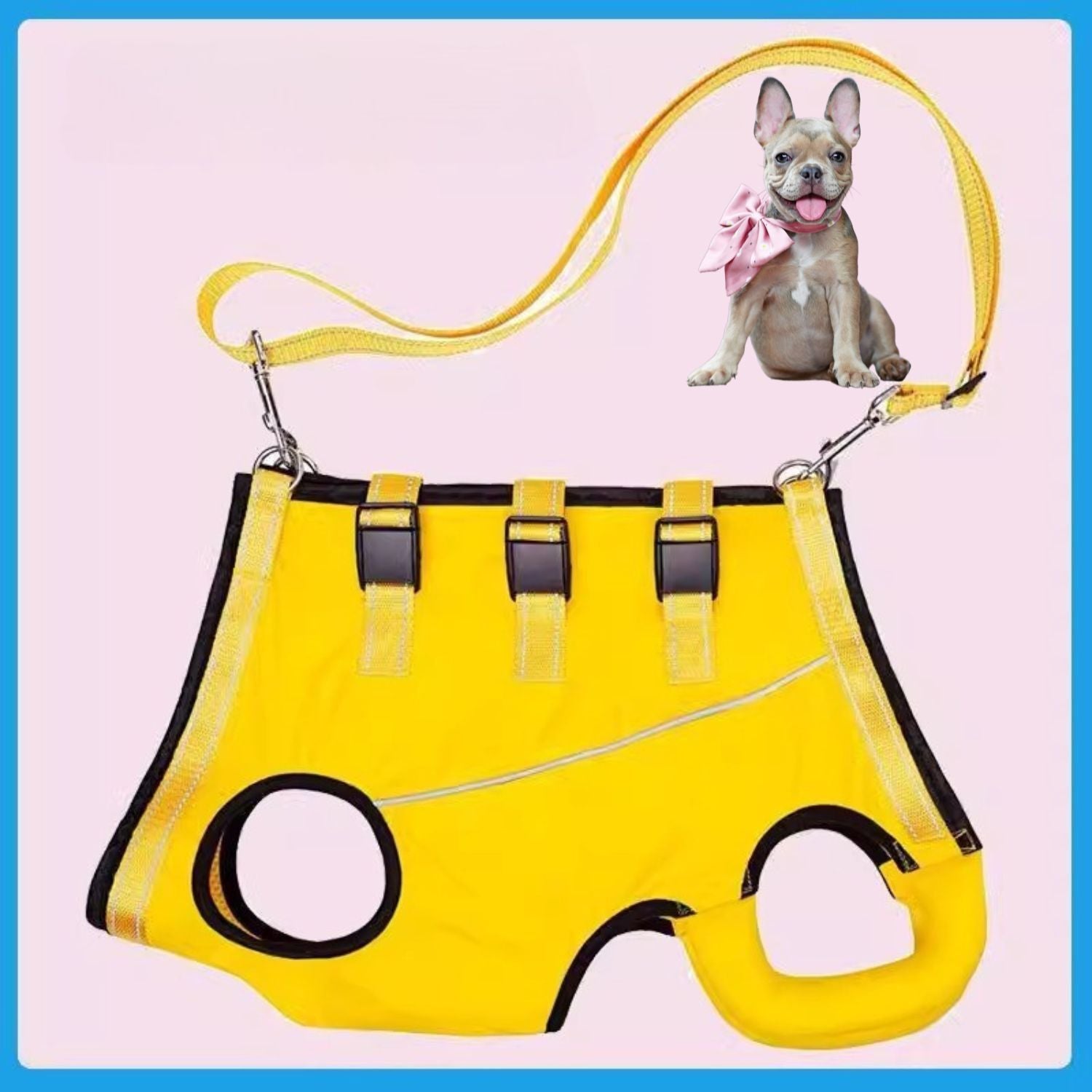 PawLift Frenchie Walking Harness for Brachycephalic Dogs-fadou