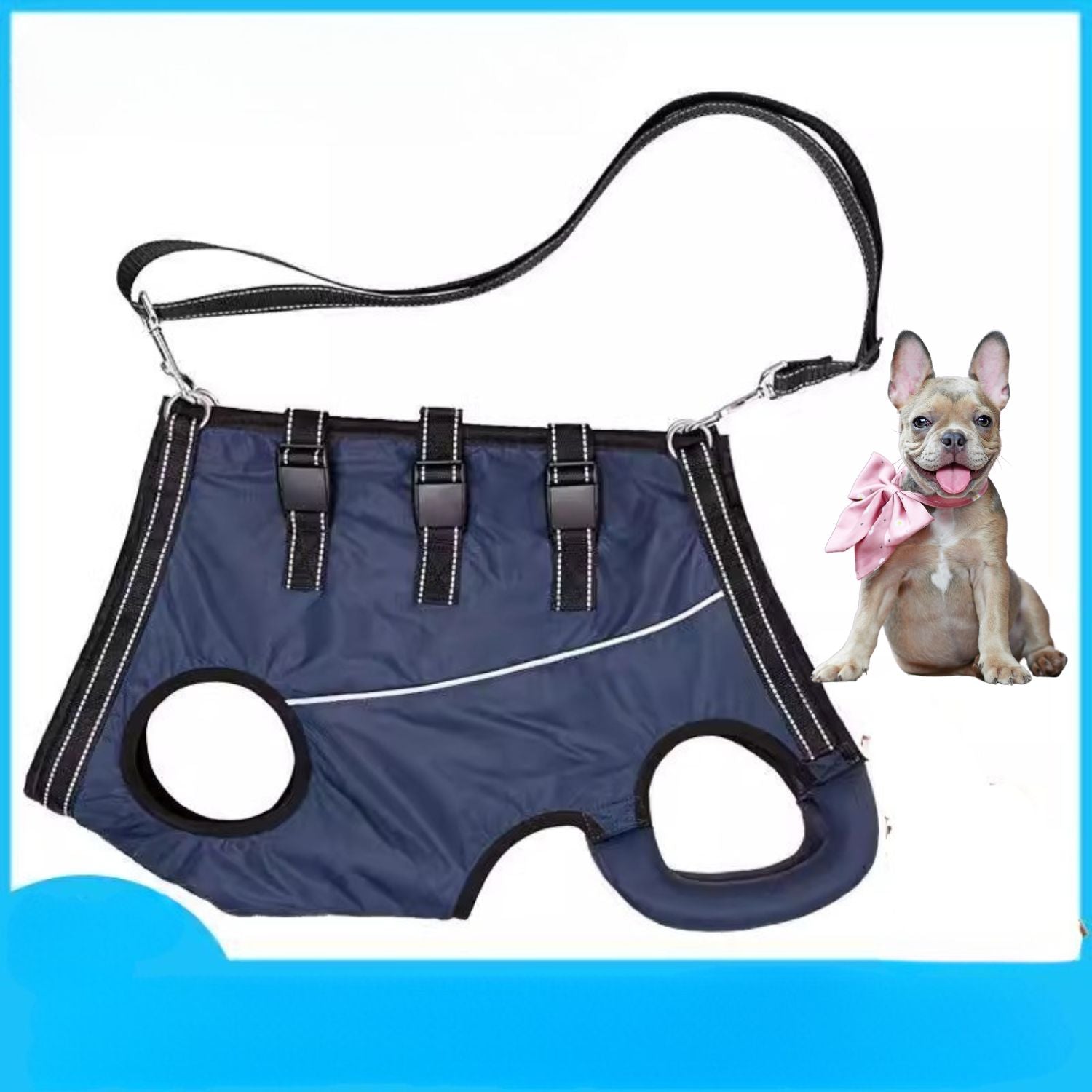 PawLift Frenchie Walking Harness for Brachycephalic Dogs-fadou