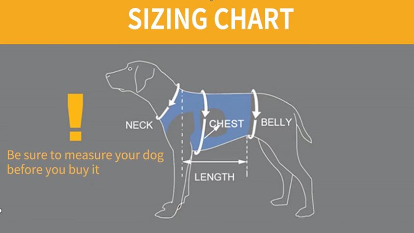 PawLift Frenchie Walking Harness for Brachycephalic Dogs-fadou