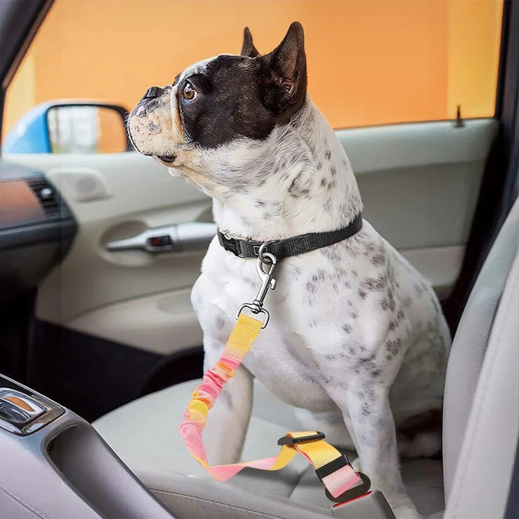French Bulldog Adjustable Chew Toy for Outdoor Adventures-fadou