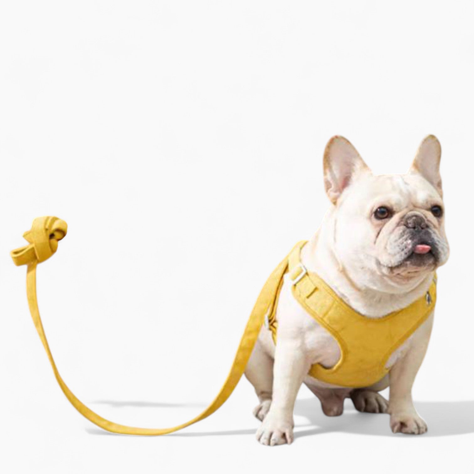 French Bulldog Secure No-Pull Vest for Short-Nosed Dogs-fadou