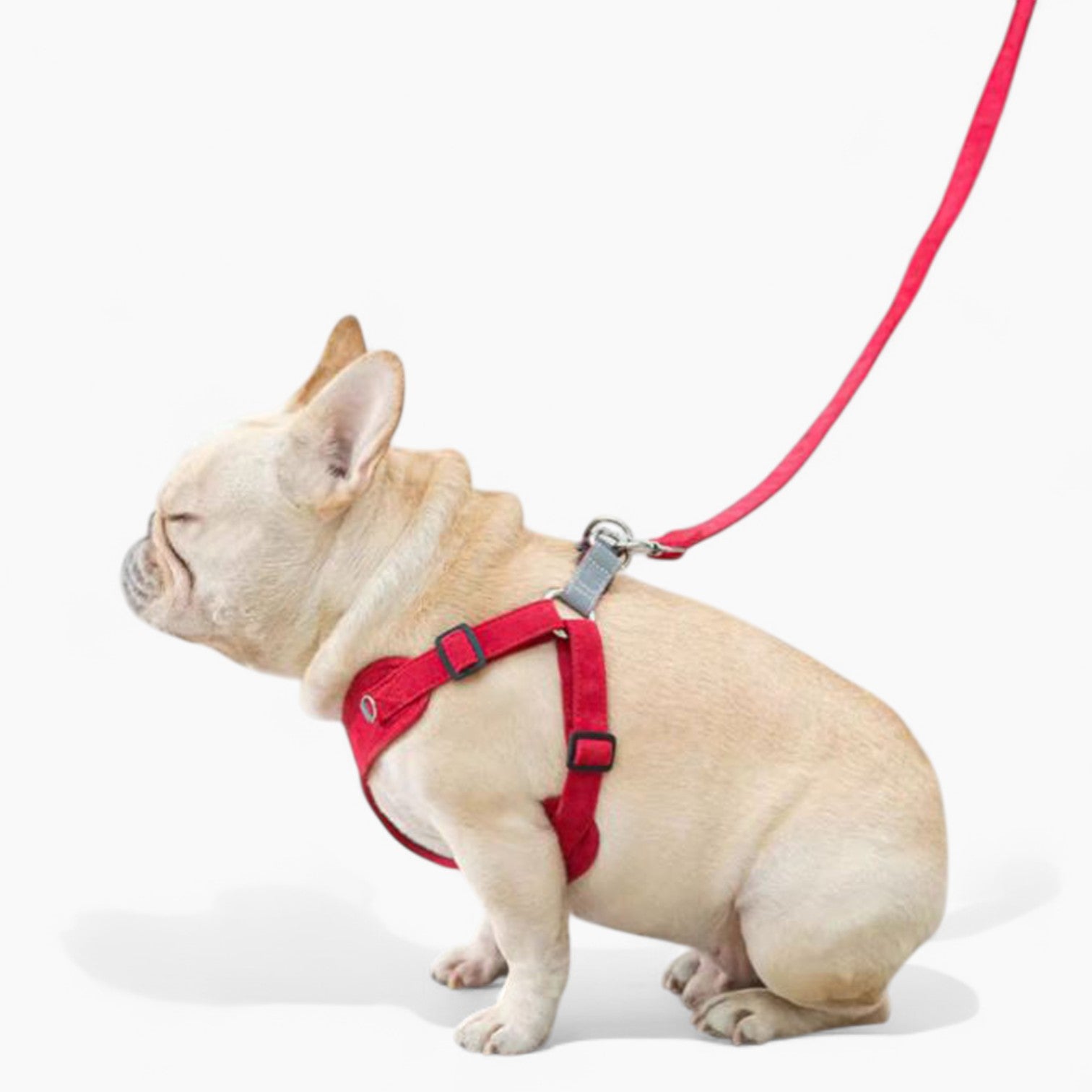 French Bulldog Secure No-Pull Vest for Short-Nosed Dogs-fadou