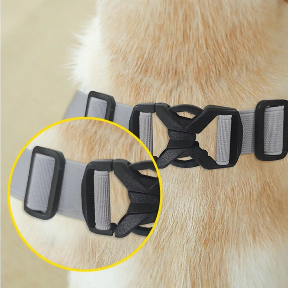 Dog Breathable Absorbent Underwear for Short-Nosed Dogs-fadou
