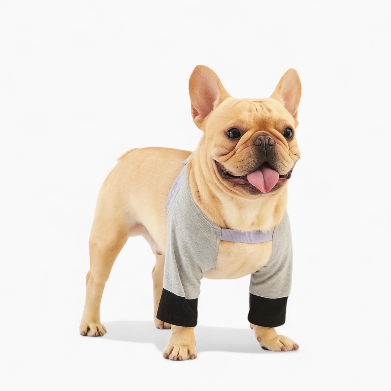 Dog Breathable Absorbent Underwear for Short-Nosed Dogs-fadou