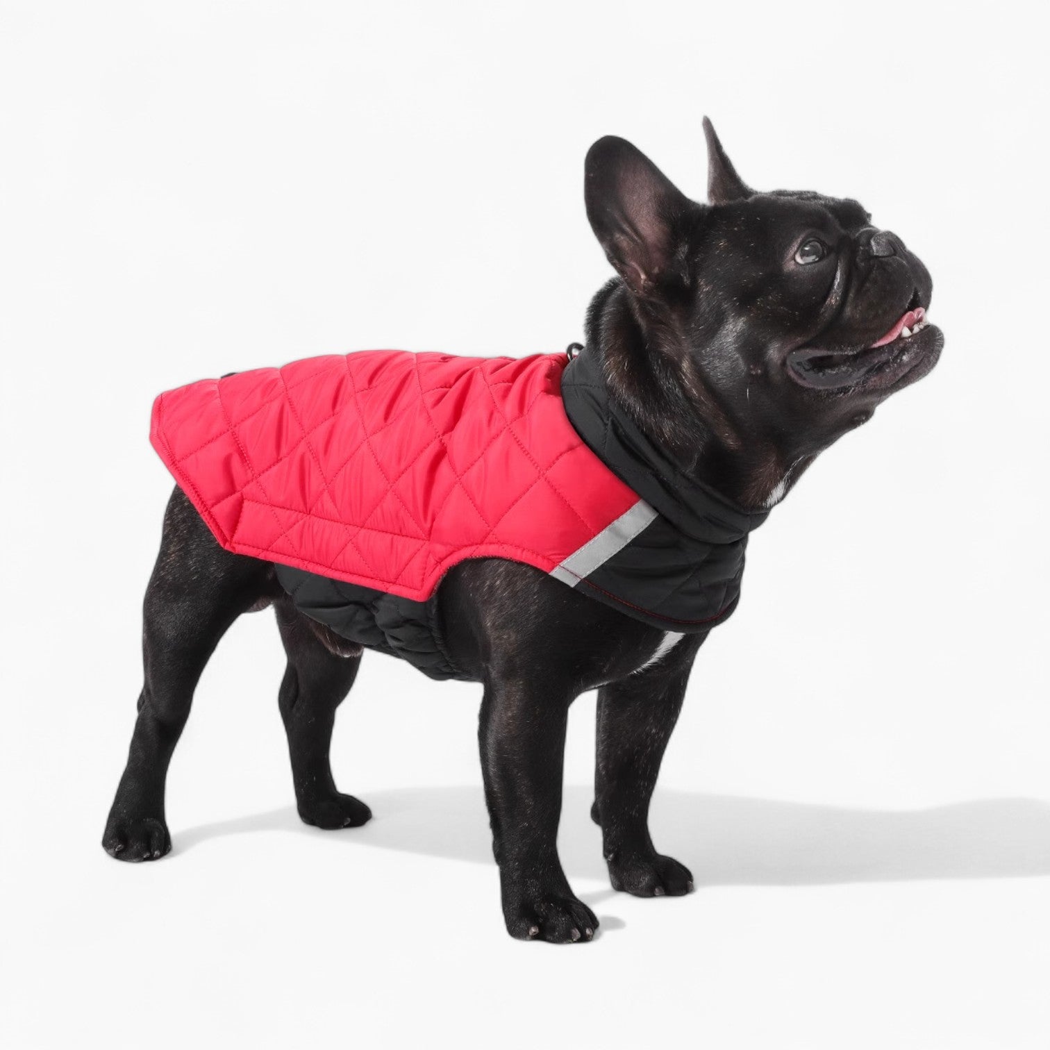 French Bulldog Reflective Winter Jacket for Cozy Nights-fadou