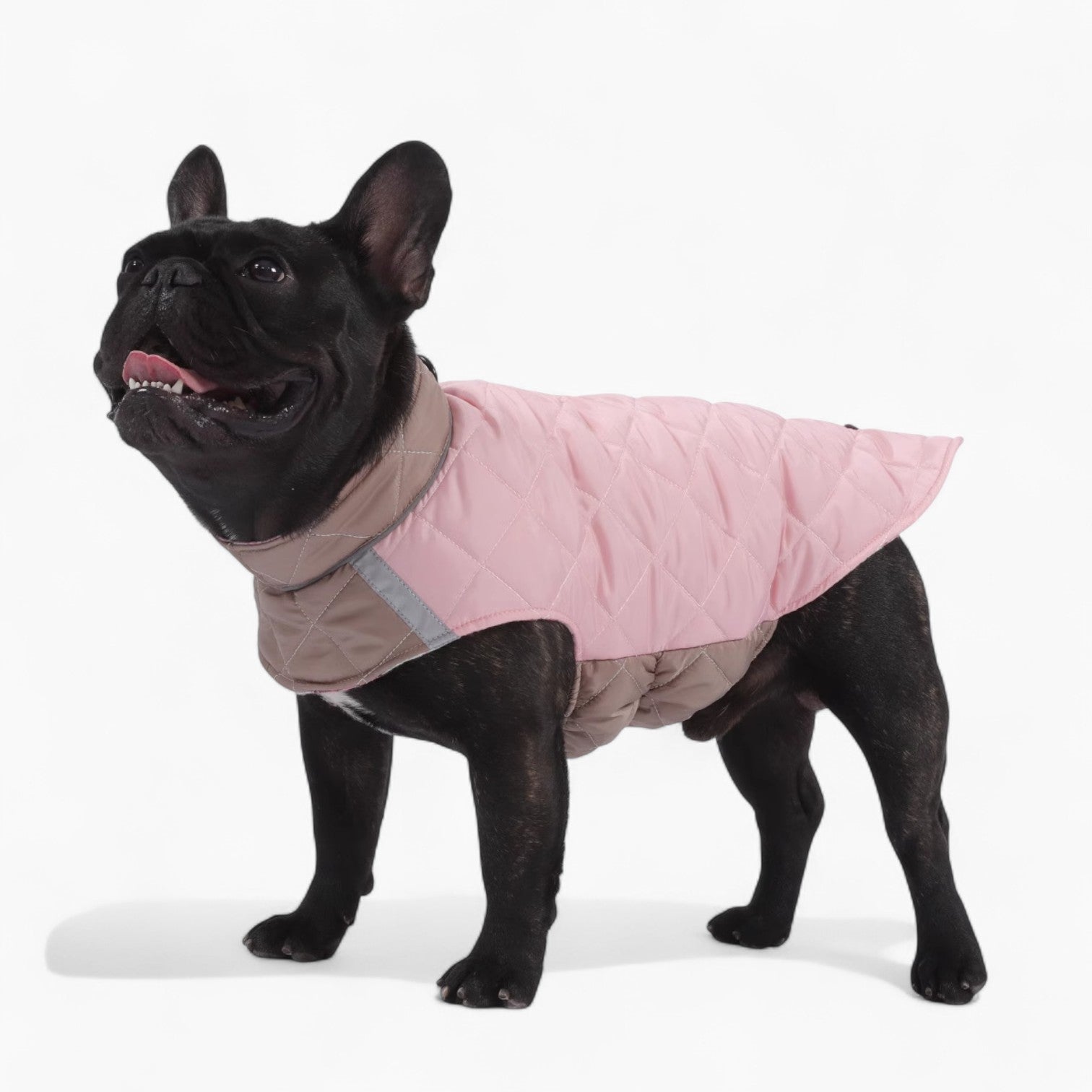 French Bulldog Reflective Winter Jacket for Cozy Nights-fadou