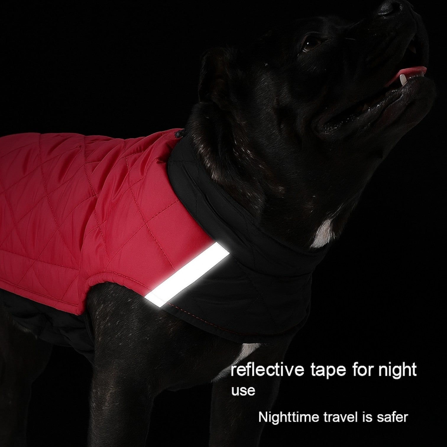 French Bulldog Reflective Winter Jacket for Cozy Nights-fadou