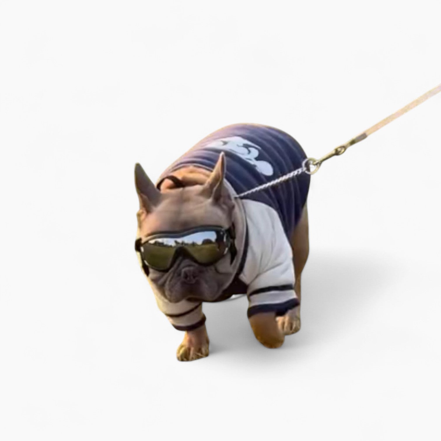 French Bulldog Windproof Dog Item for Brachycephalic Dogs-fadou