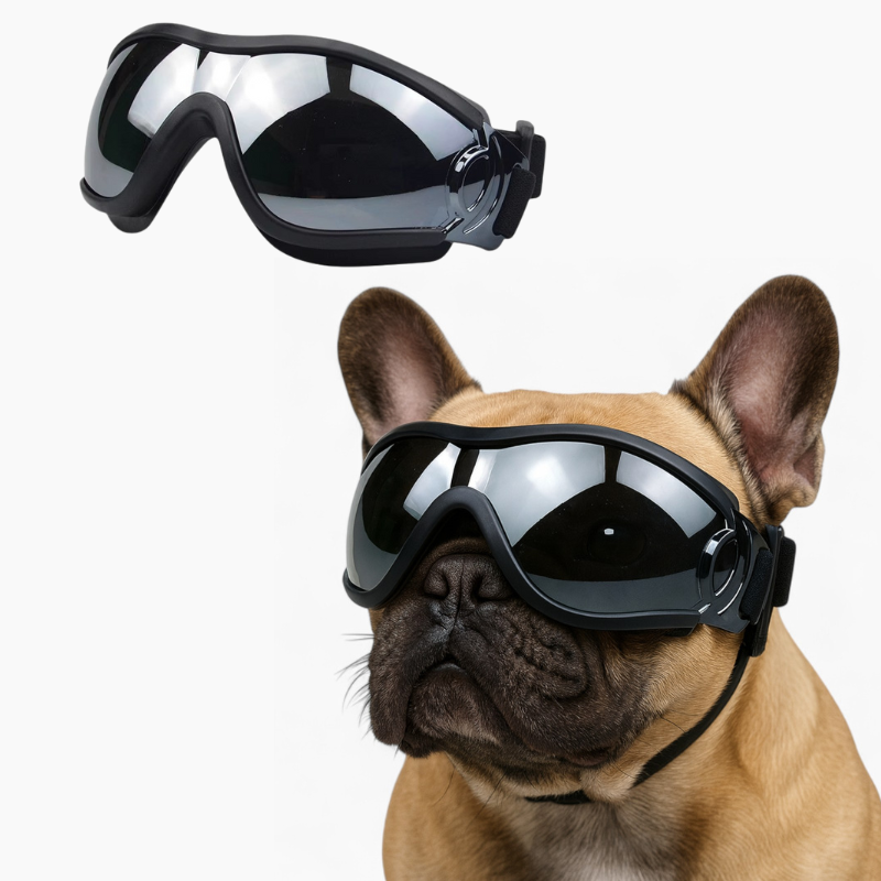 French Bulldog Windproof Dog Item for Brachycephalic Dogs-fadou