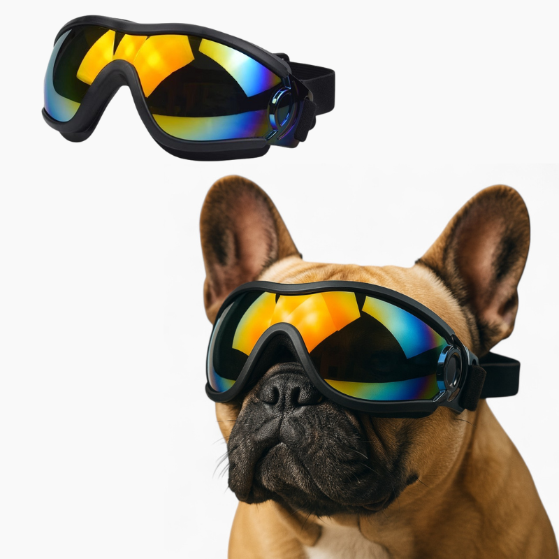French Bulldog Windproof Dog Item for Brachycephalic Dogs-fadou