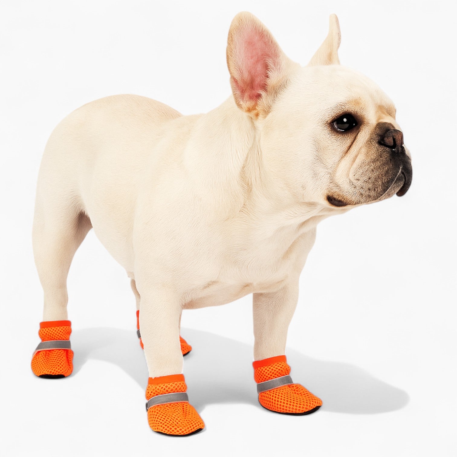 Pawlite French Bulldog Shoes – Breathable for Dog Lovers and Owners-fadou