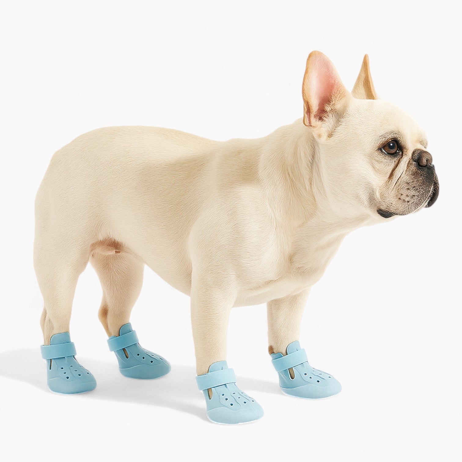 Pawsplash Waterproof Protective Booties for French Bulldogs-fadou