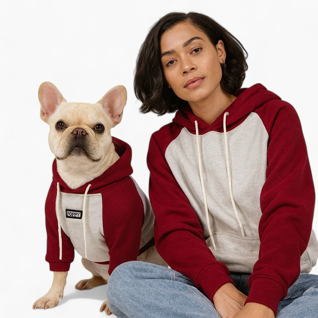 French Bulldog Velvet Pet Sweatshirt for Travel Comfort-fadou