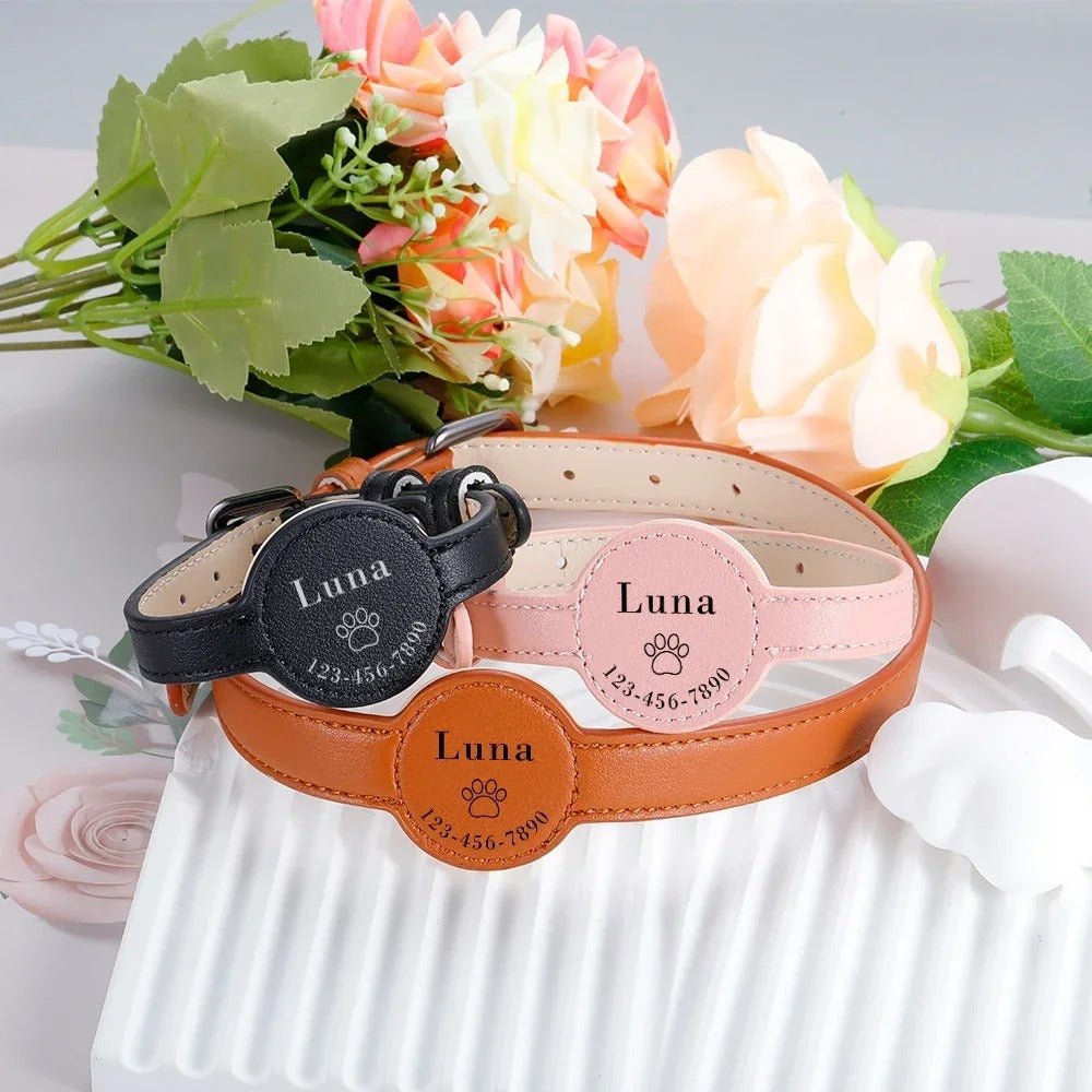 Personalized Adjustable Adjustable Collar for Small Breeds-fadou