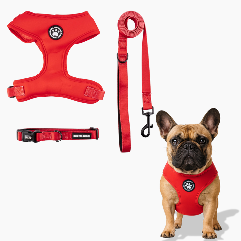 Pawzora French Bulldog Walking Harness for Flat-Face Breeds-fadou
