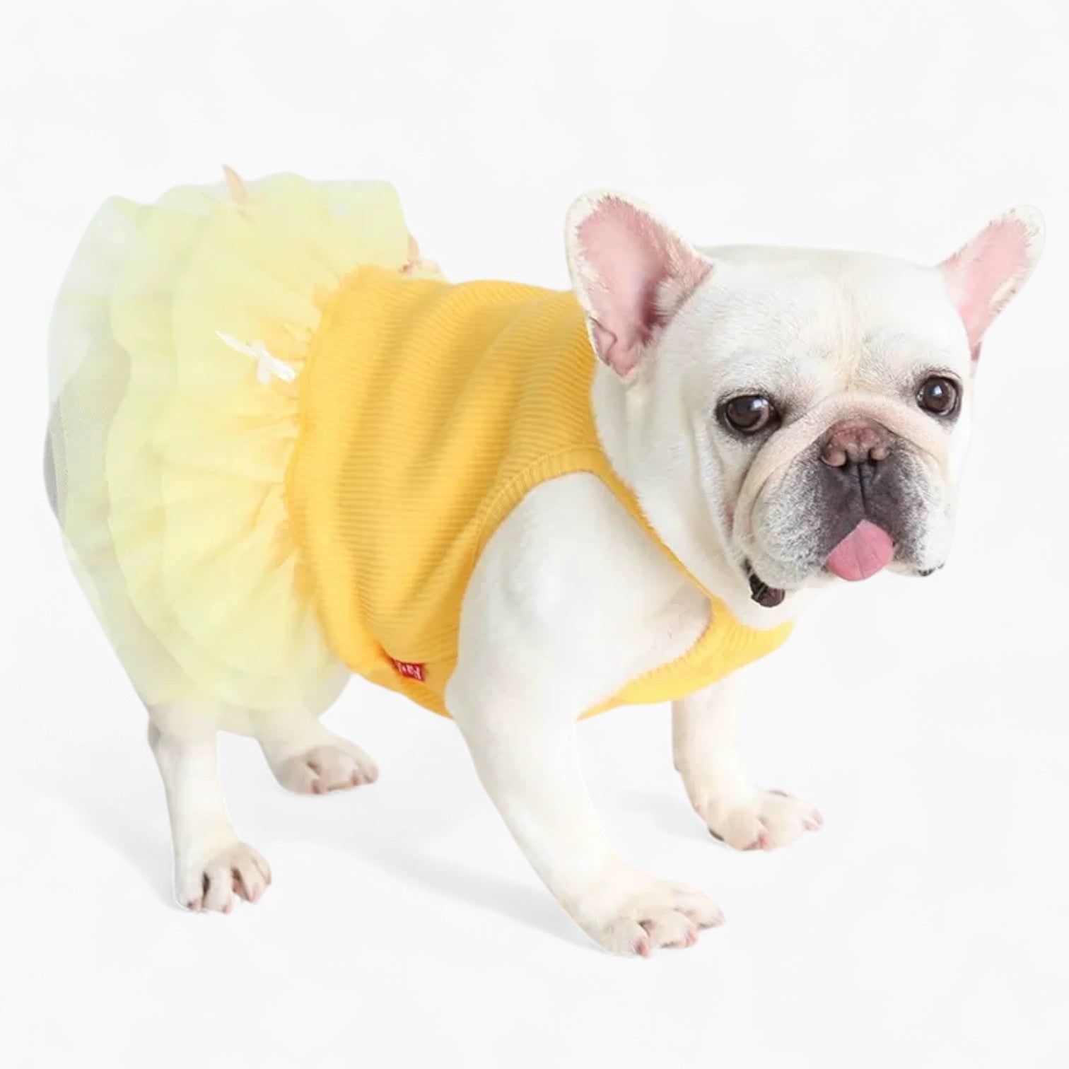 French Bulldog Soft Festive Costume for Flat-Face Breeds-fadou