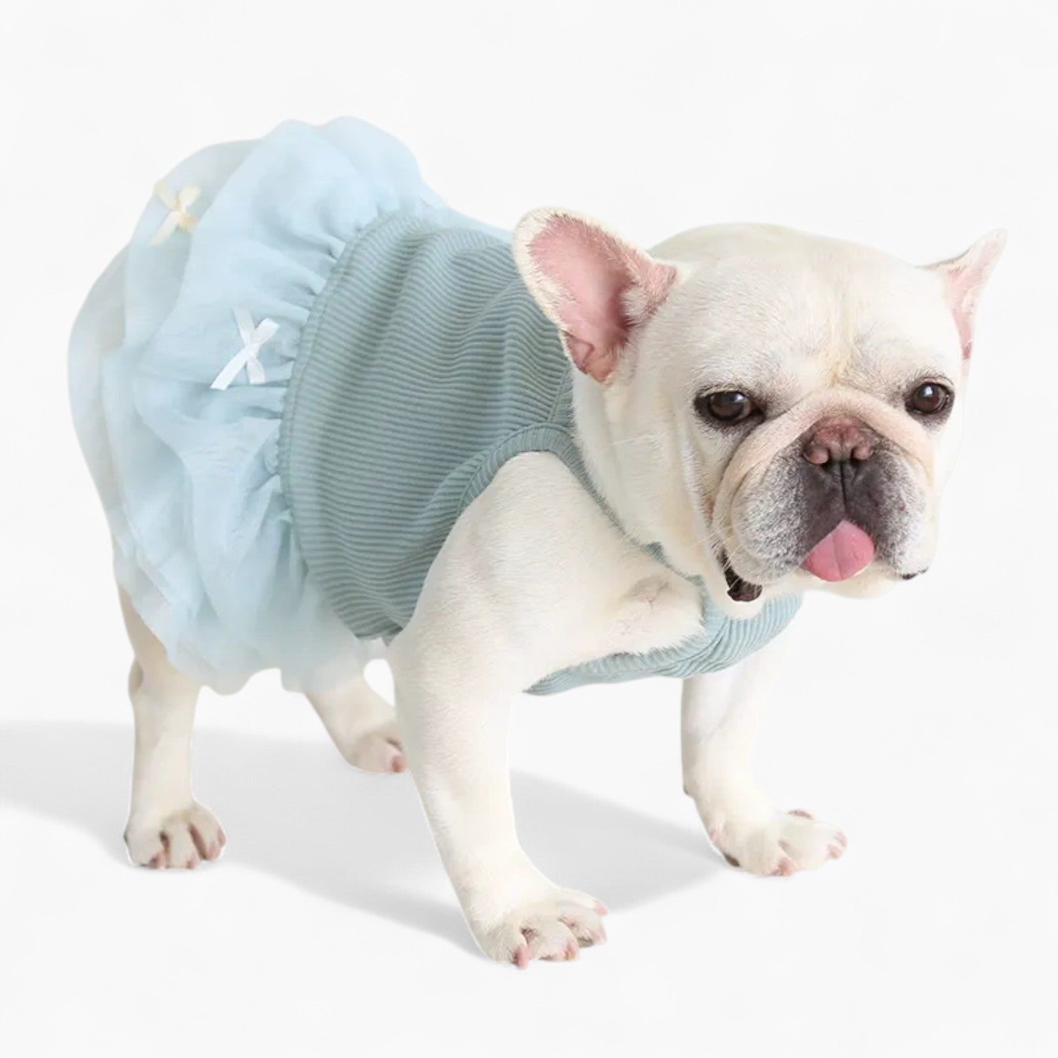 French Bulldog Soft Festive Costume for Flat-Face Breeds-fadou